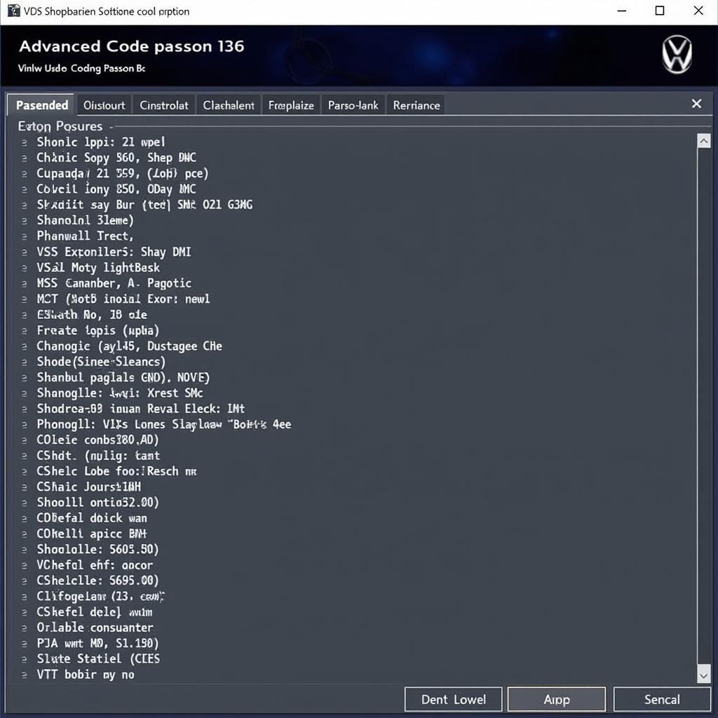 Passat B6 Advanced Coding Options in VCDS Software