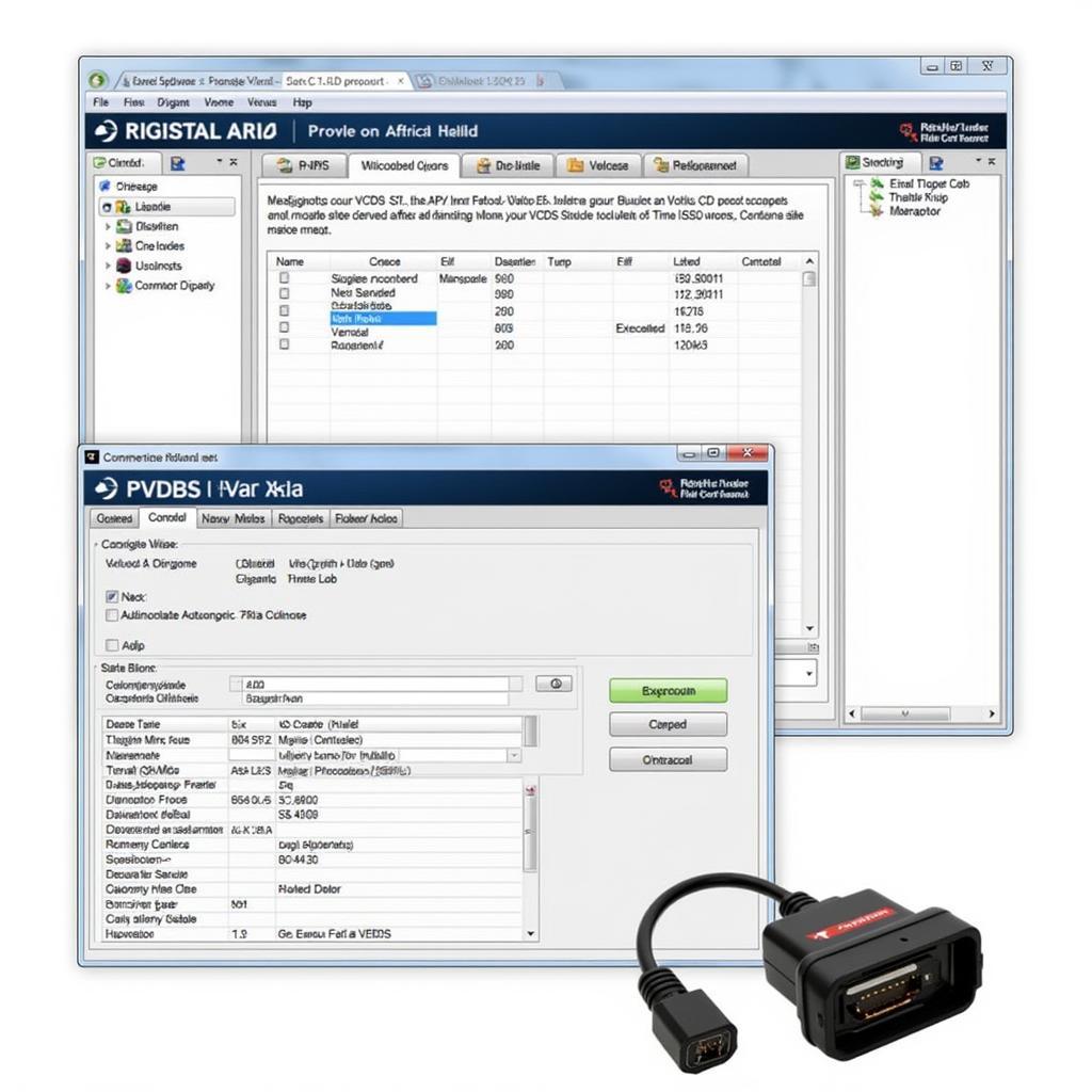 VCDS Software Interface