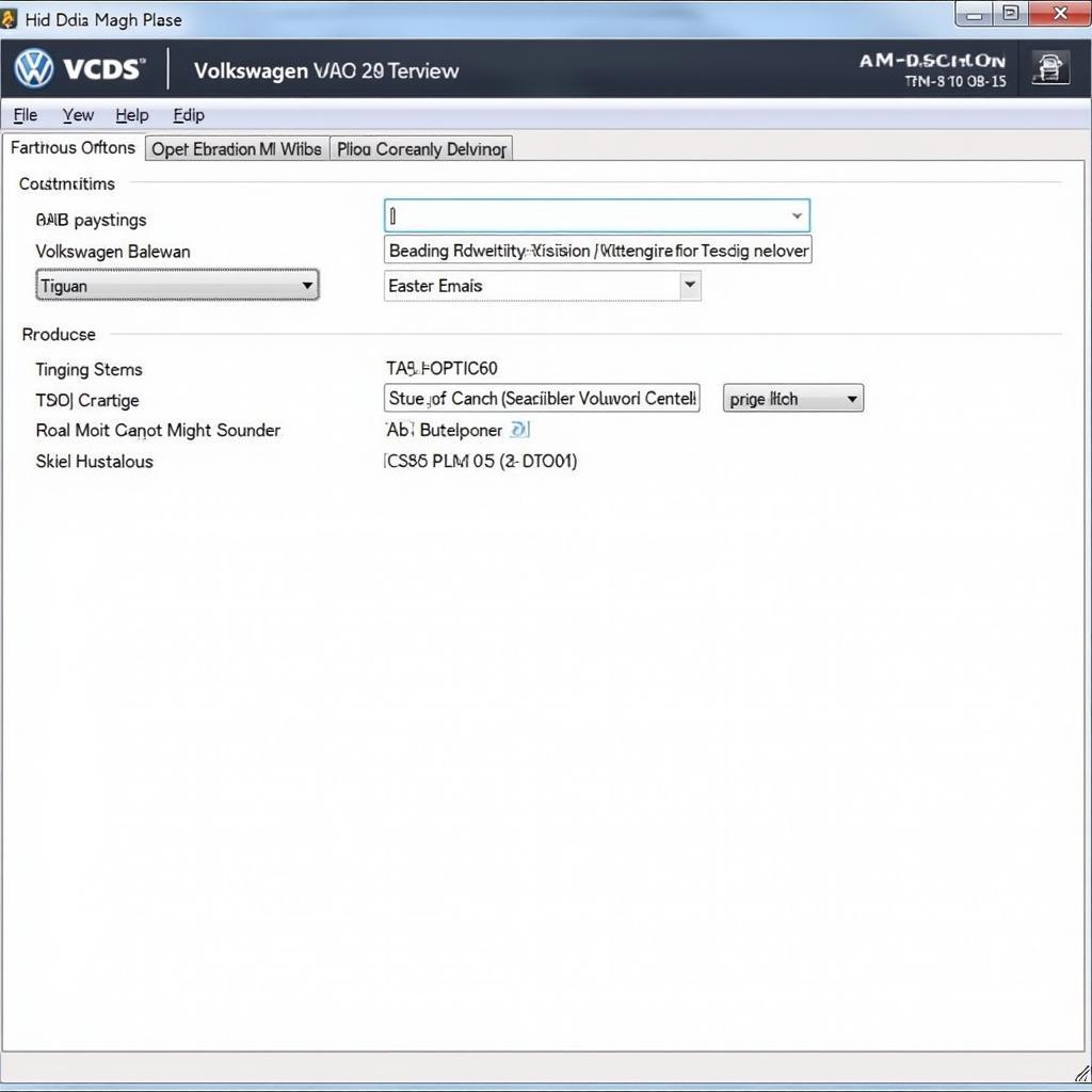 Customizing car settings using VCDS