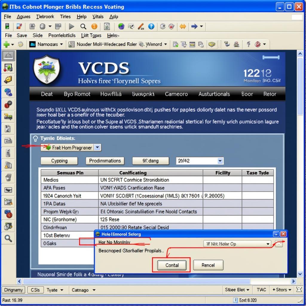 VCDS Interface