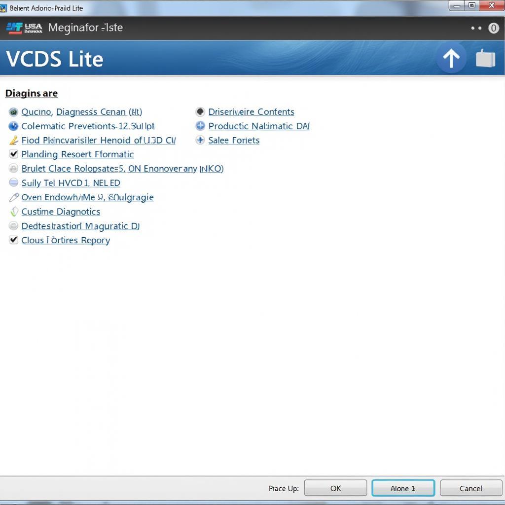 VCDS Lite Software Interface