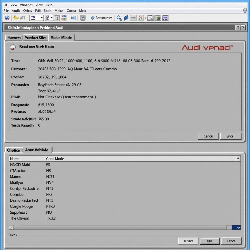 VCDS Software Interface