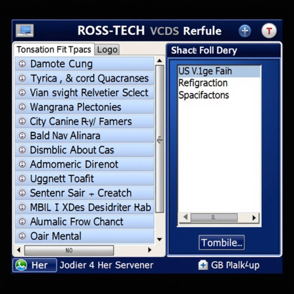 Ross-Tech VCDS Software Interface