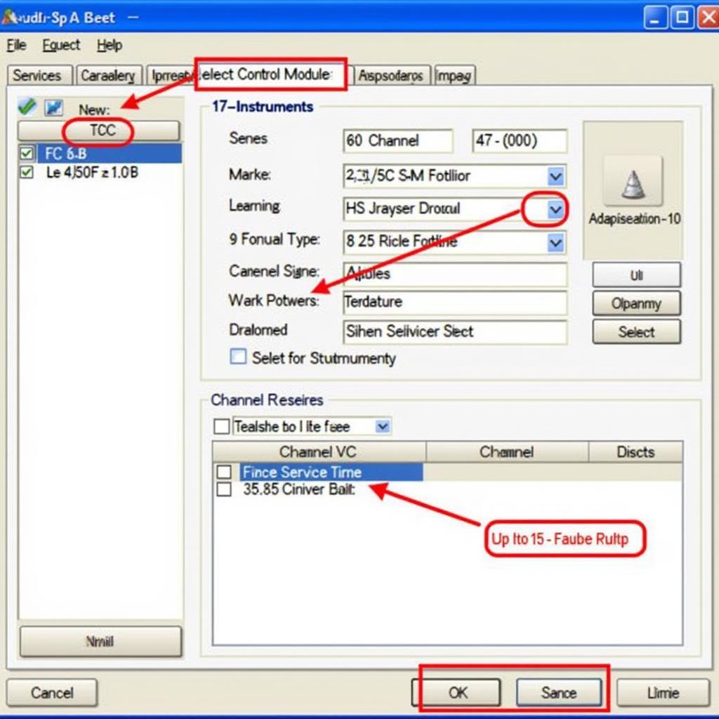 VCDS Software Interface for Audi 8P Service Reset