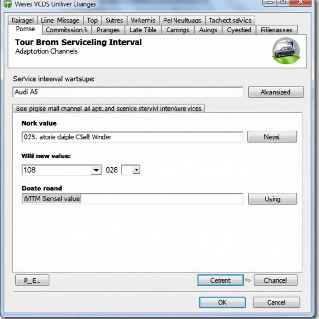 VCDS Service Reset Interface