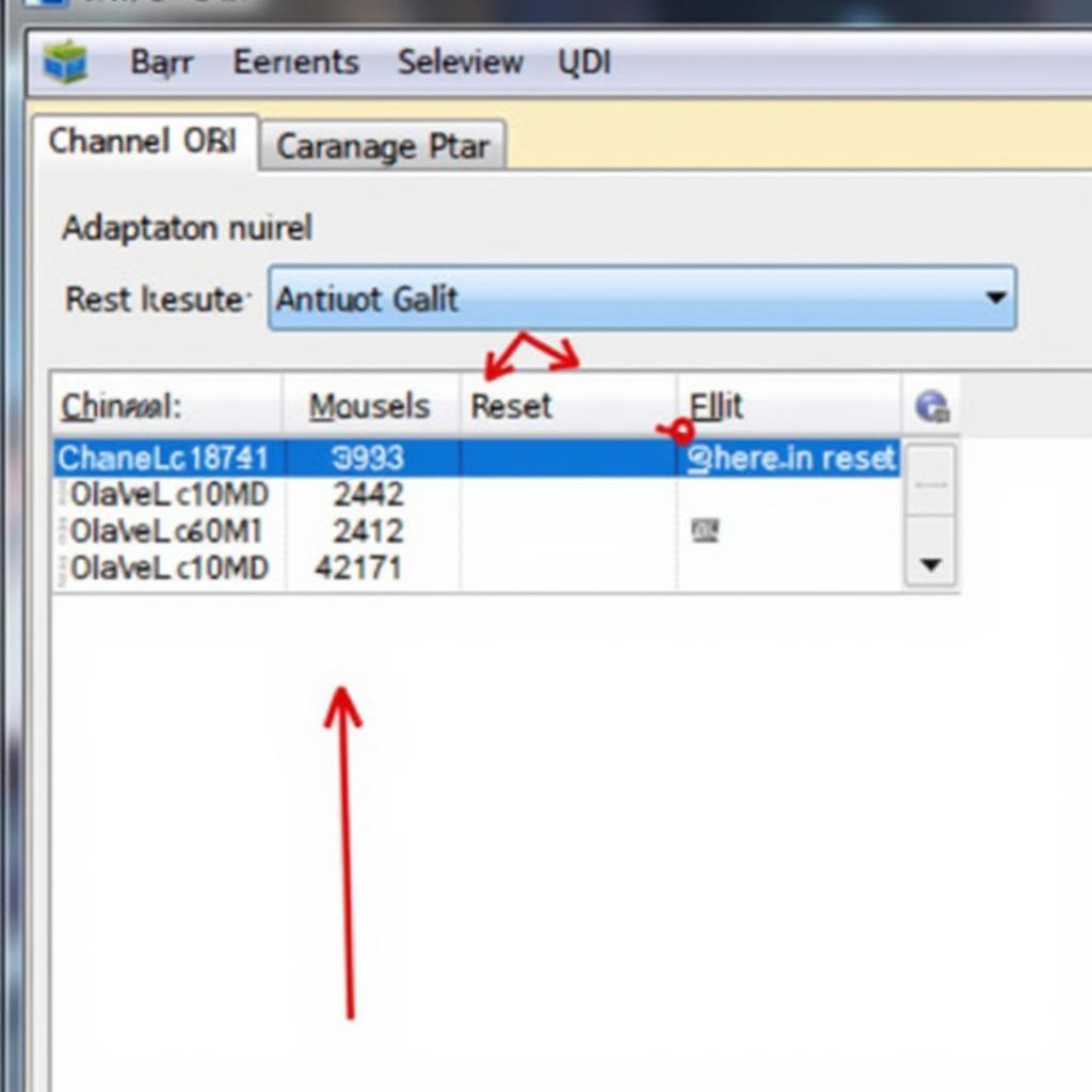 VCDS Software Displaying SRI Reset Adaptation Channel