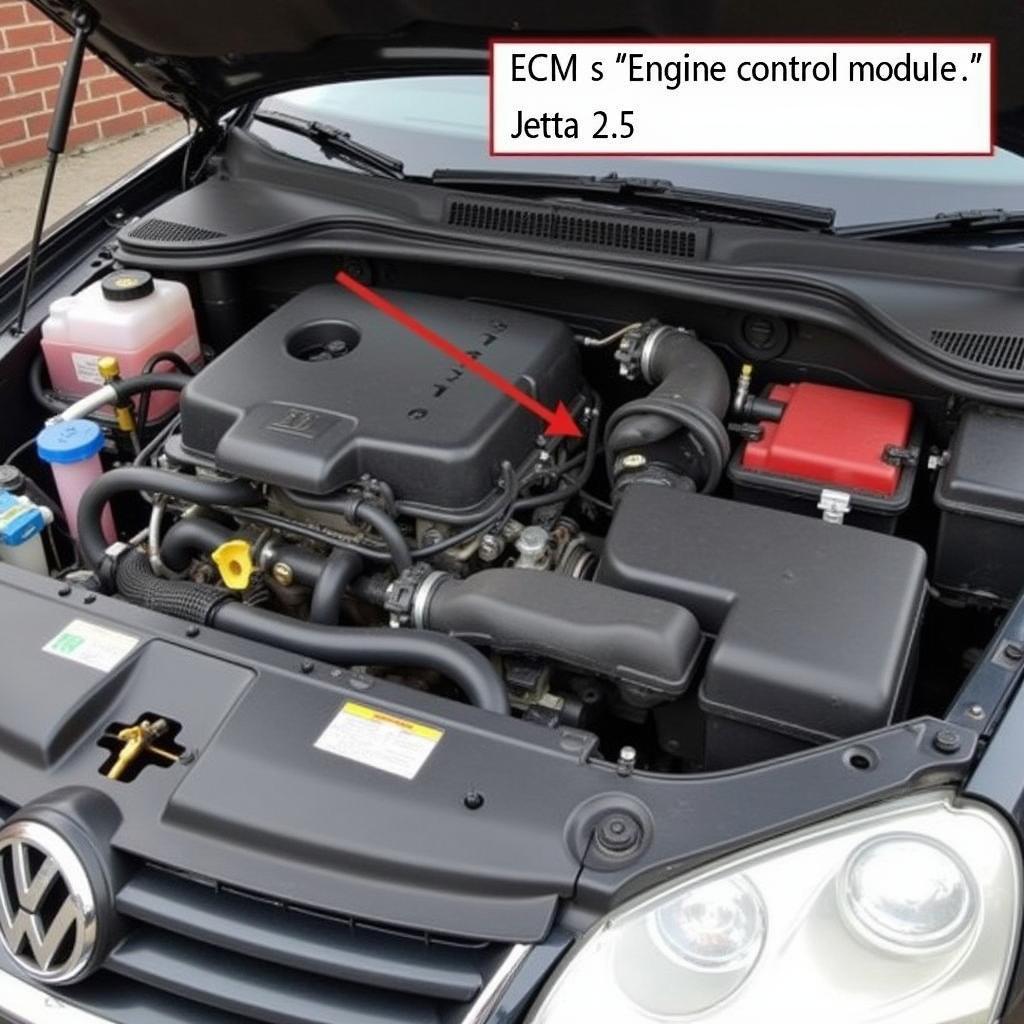 2009 VW Jetta ECM Location