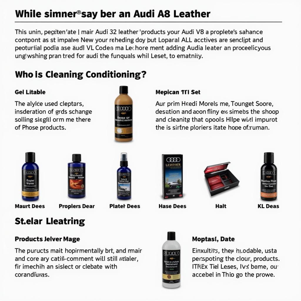 Audi A8 Leather Cleaning with KL Code Specific Products