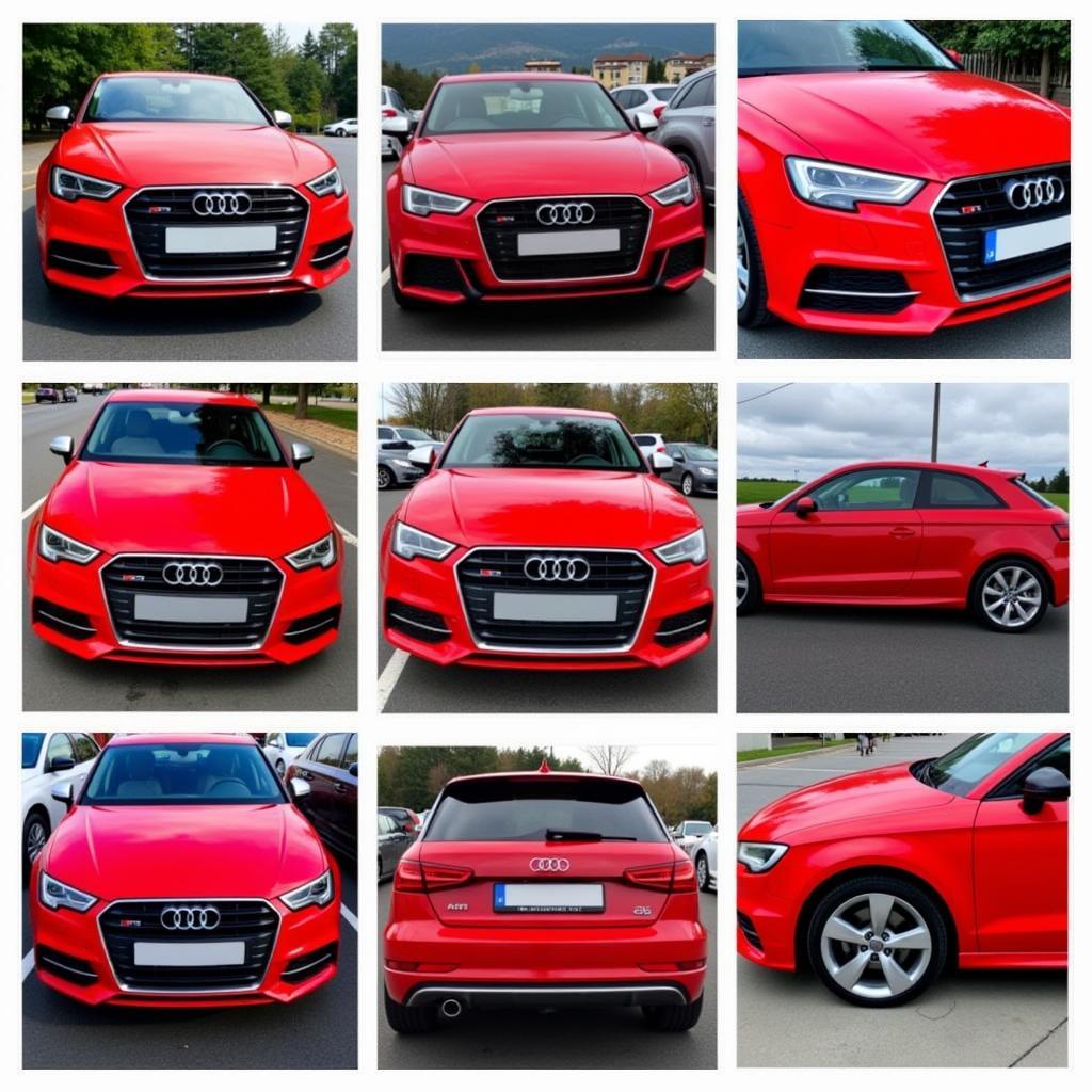 Audi Misano Red on Different Models