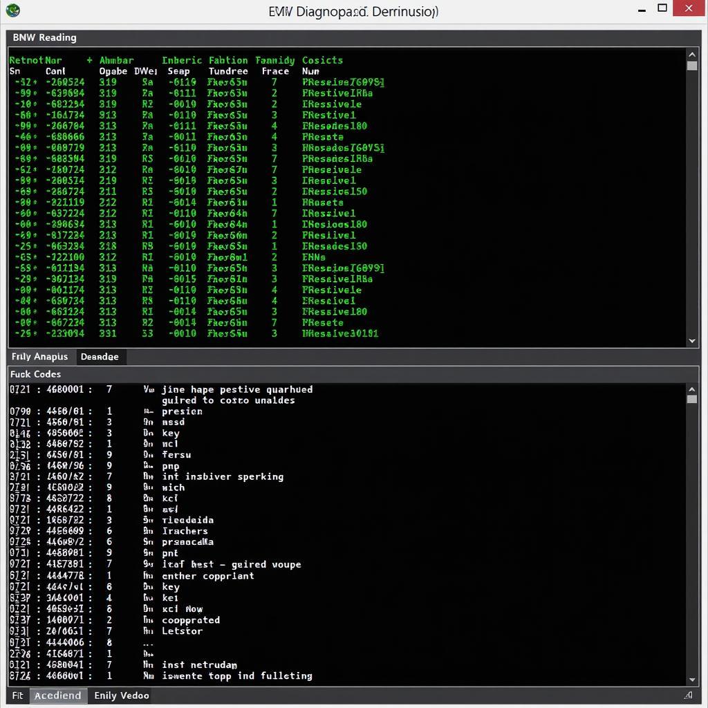 BMW Diagnostic Software in Action