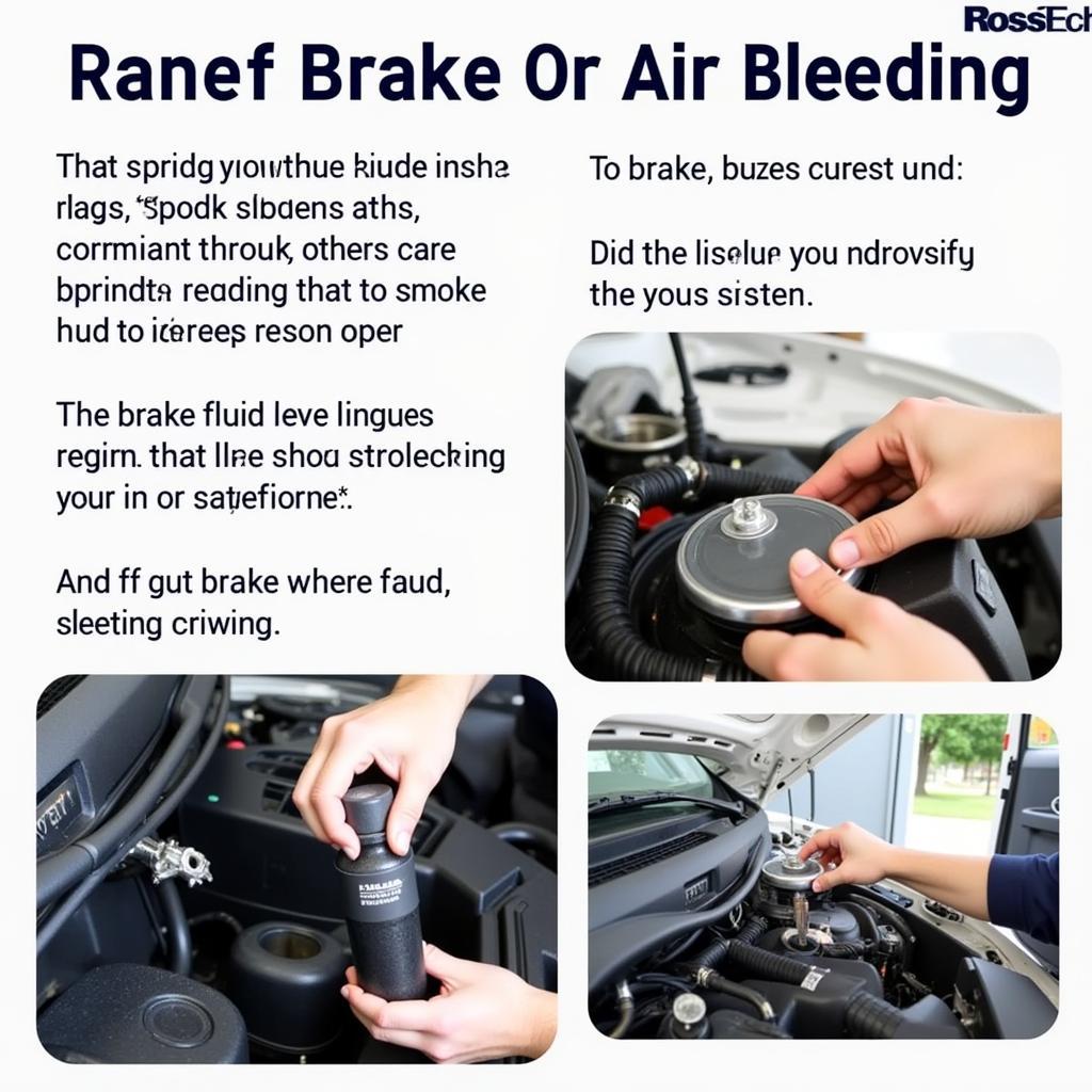 Checking Brake Fluid Level During Ross-Tech Bleed