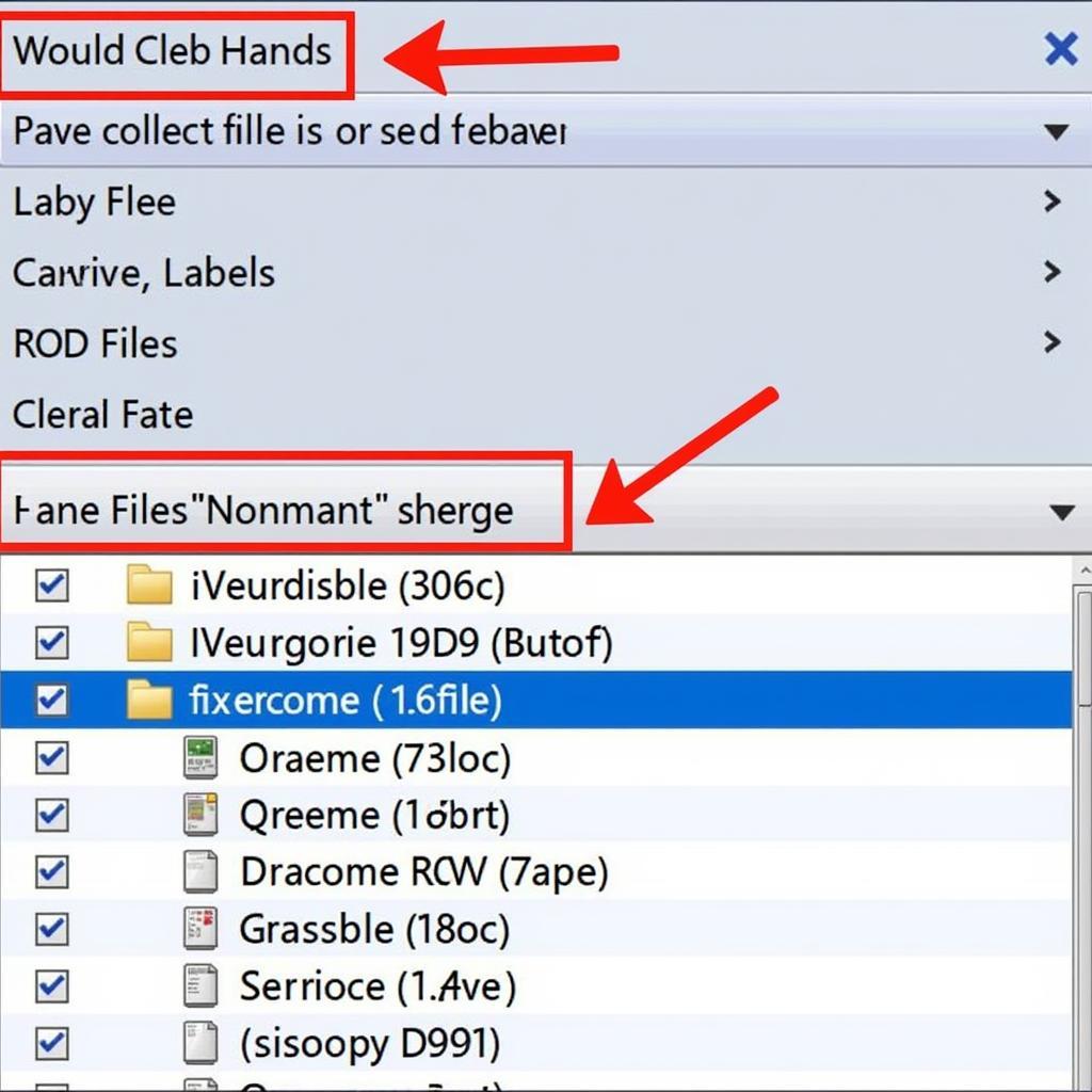 Correctly Placed ROD Files in VCDS Labels Folder