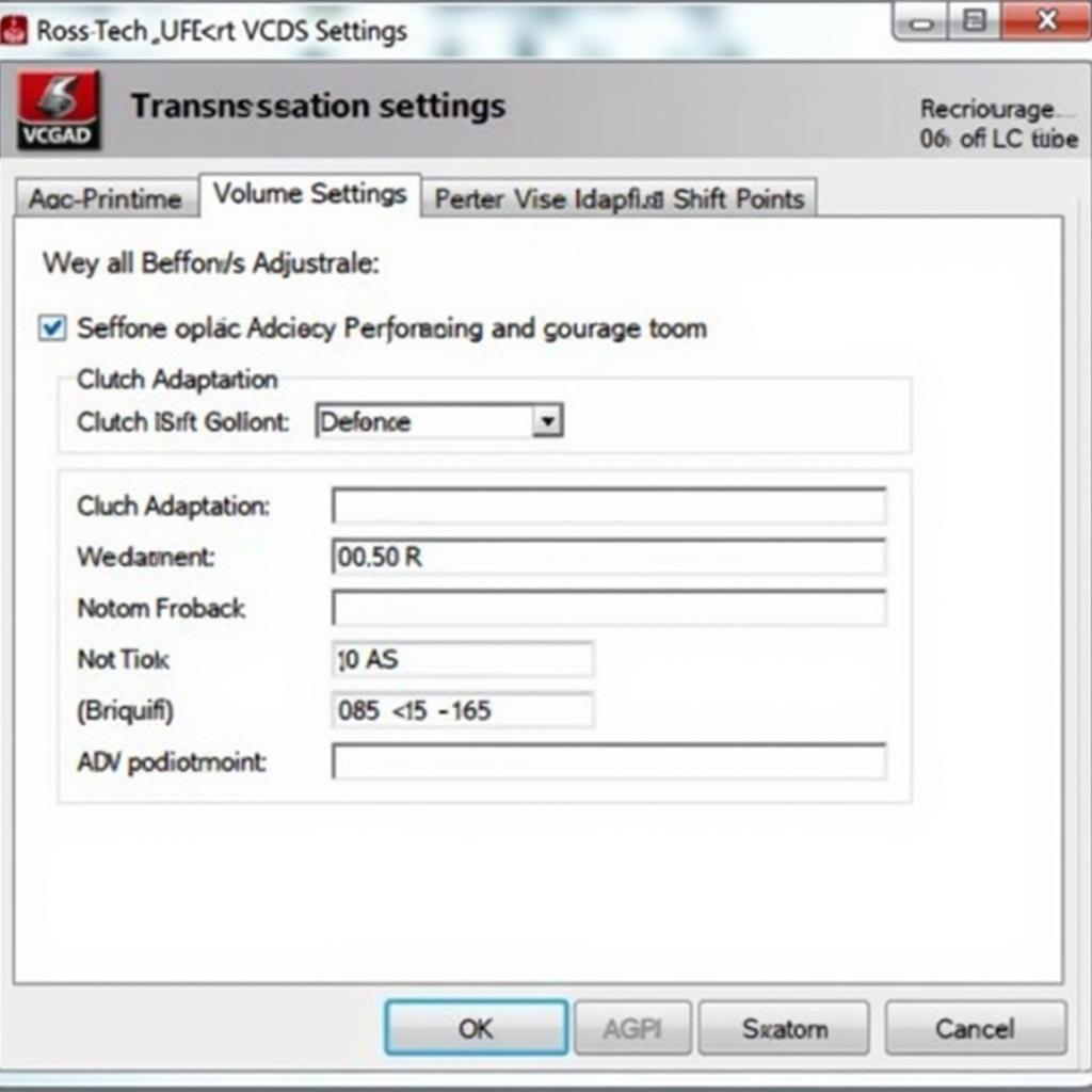 DSG Basic Settings with VCDS