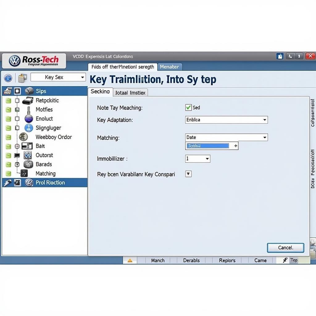 Ross-Tech Key Programming Interface