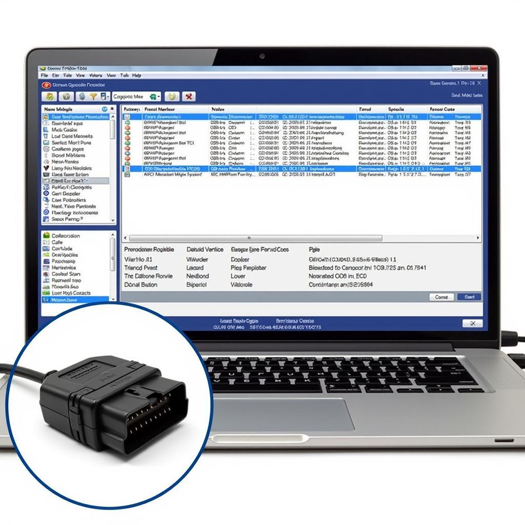 Ross-Tech VCDS Software and Interface