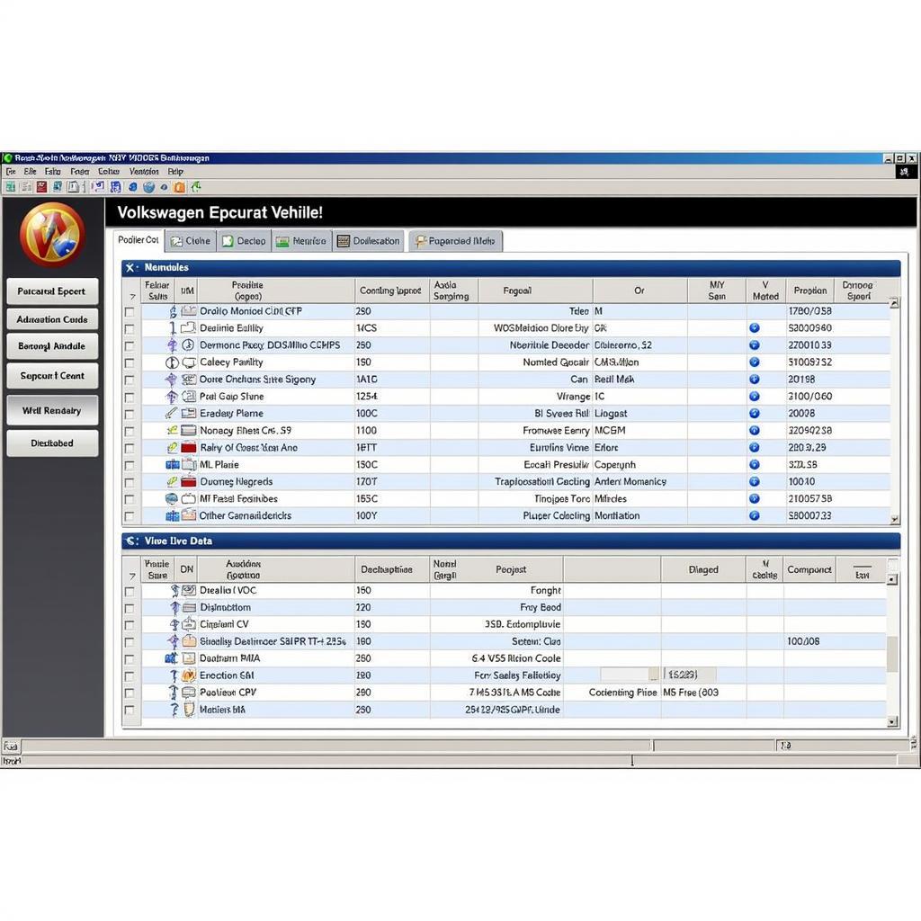 Ross-Tech VCDS Software Interface