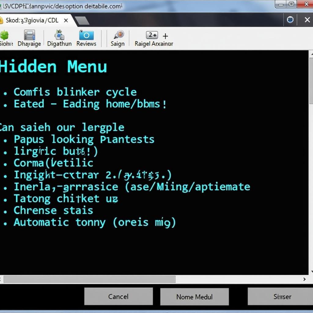 Skoda Octavia vRS VCDS Hidden Menu