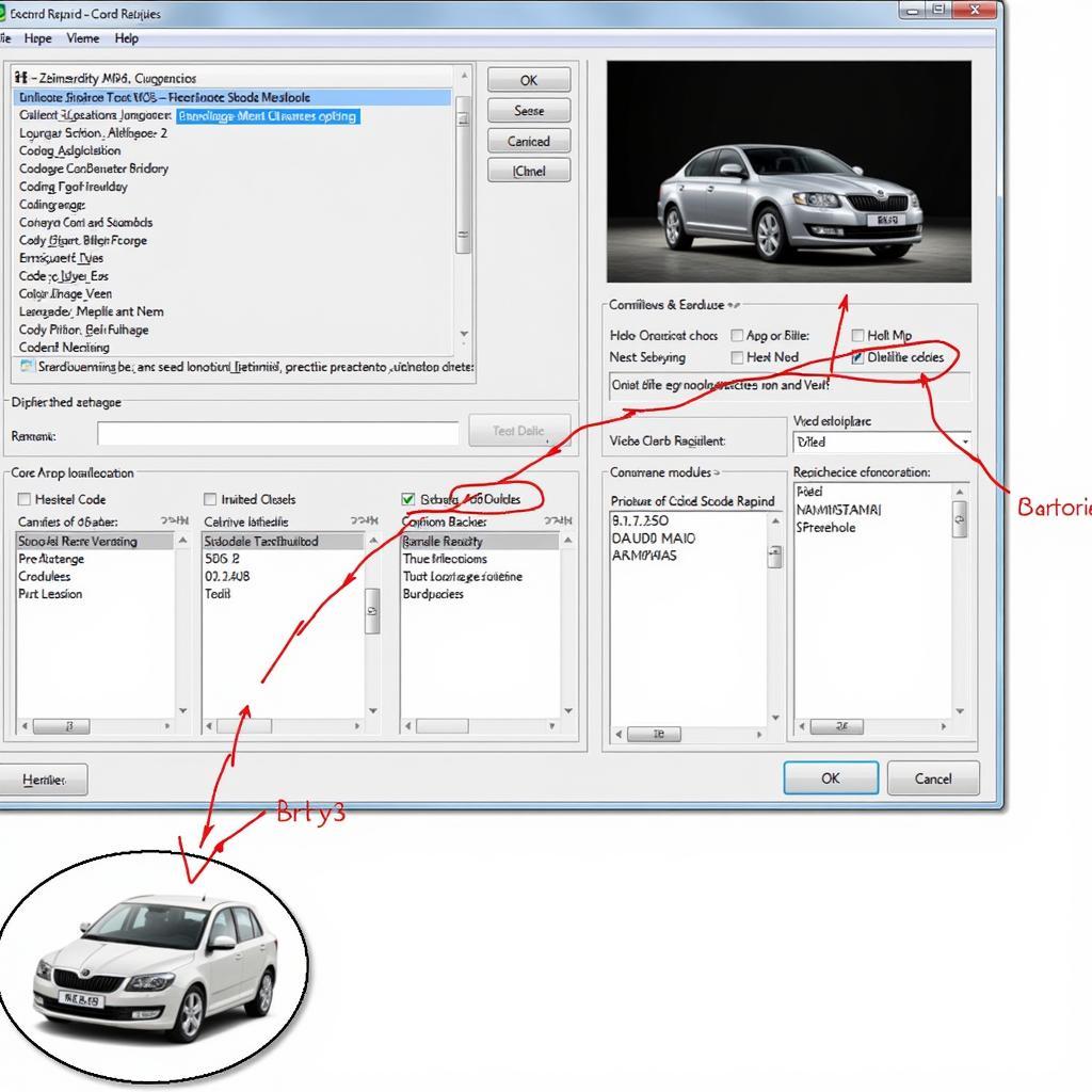 Skoda Rapid VCDS Coding Interface