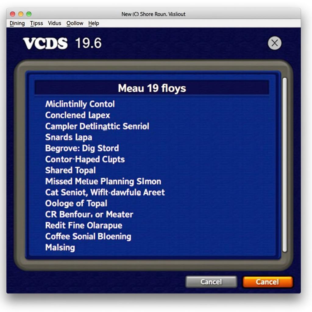 VCDS 19.6 Software Main Menu with Options