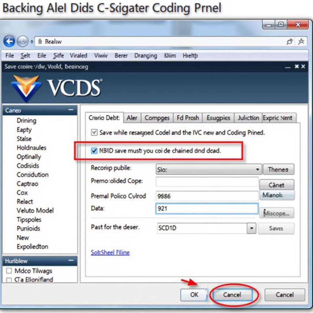 Backing Up Skoda Superb Coding with VCDS