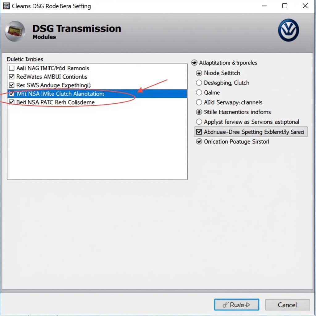 VCDS DSG Adaptation Reset Process