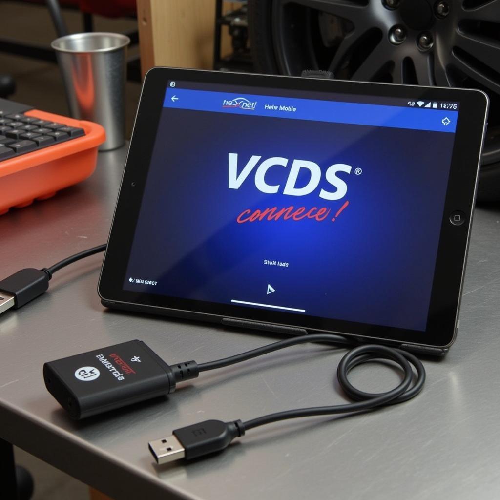 VCDS HEX-NET iPad Connection