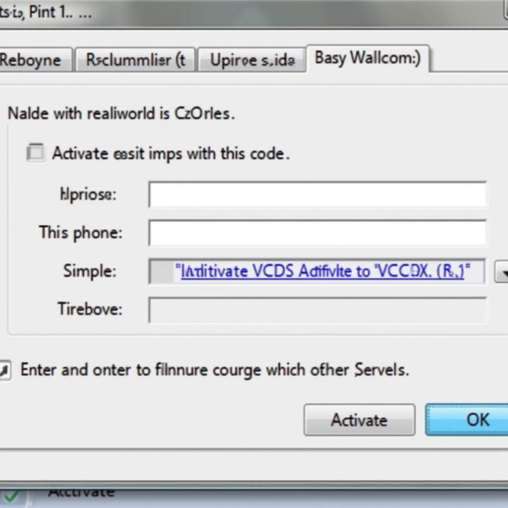 VCDS Lite 1.2 Activation Code Entry Screen