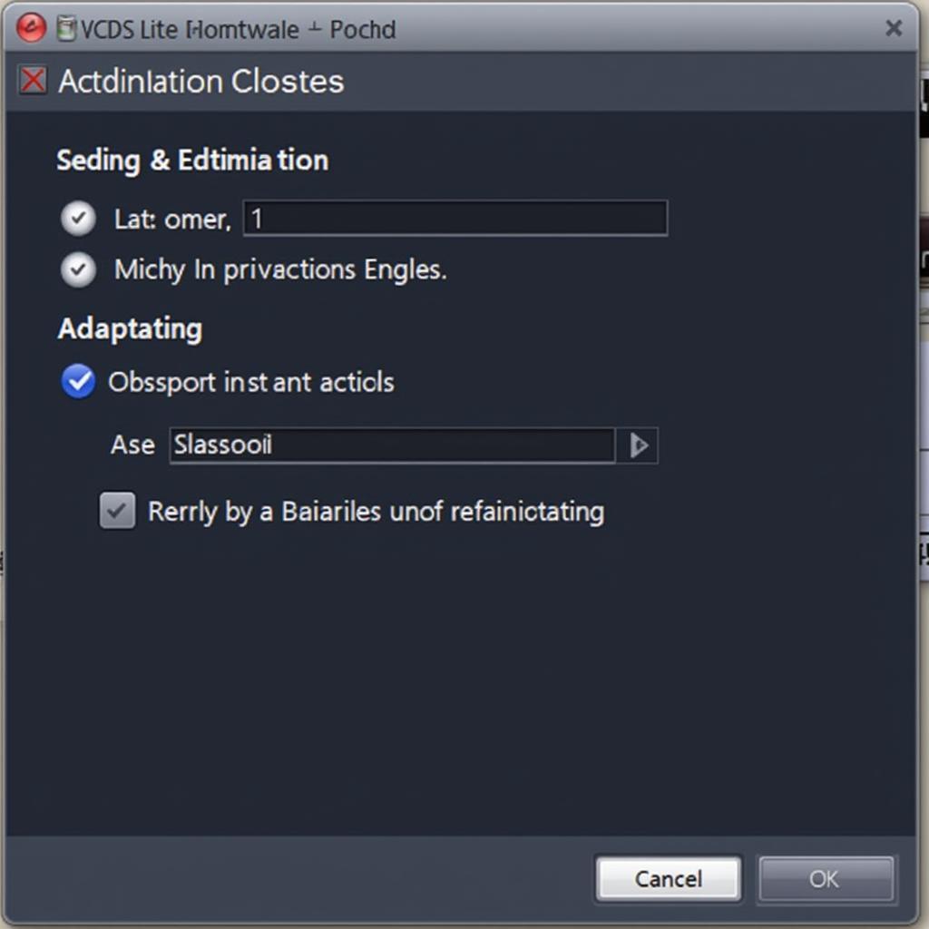 VCDS Lite Coding and Adaptations