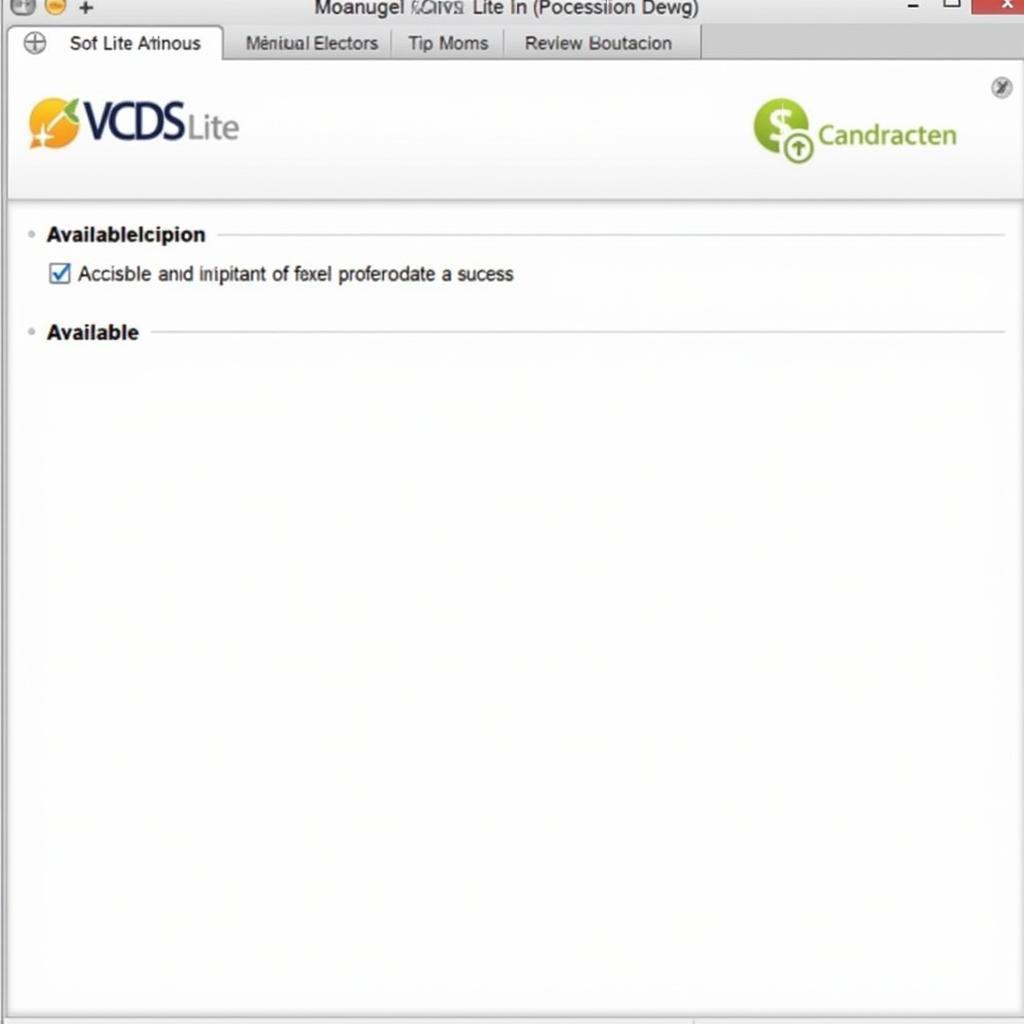 VCDS Lite Interface and Functions