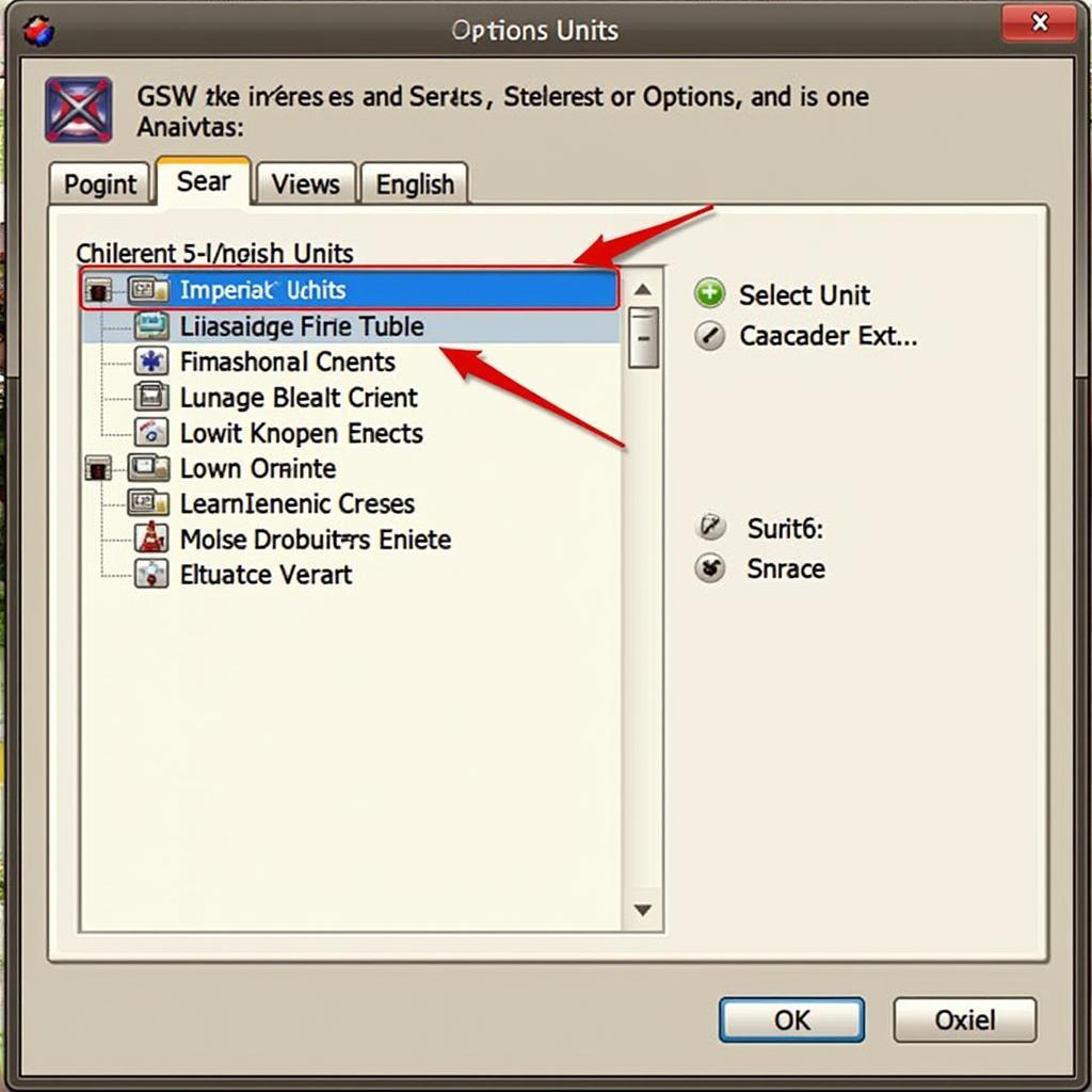 VCDS Options Menu with English Units Selection