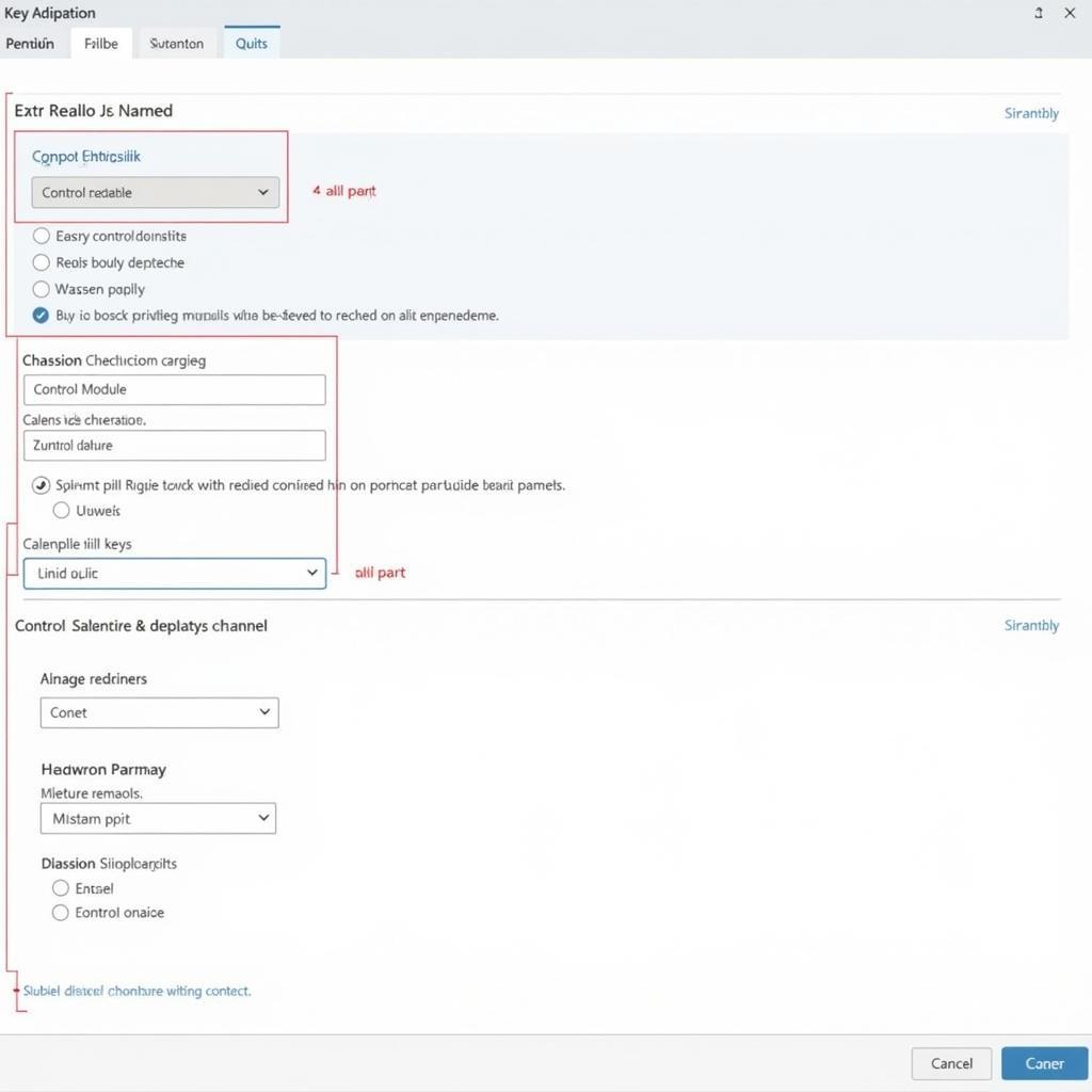 VCDS Software Interface for Key Adaptation