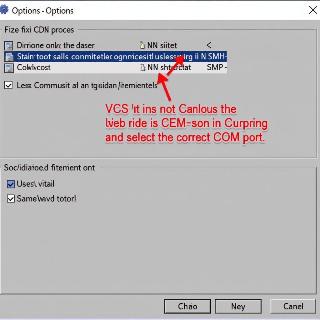 VCDS Software Options Screen