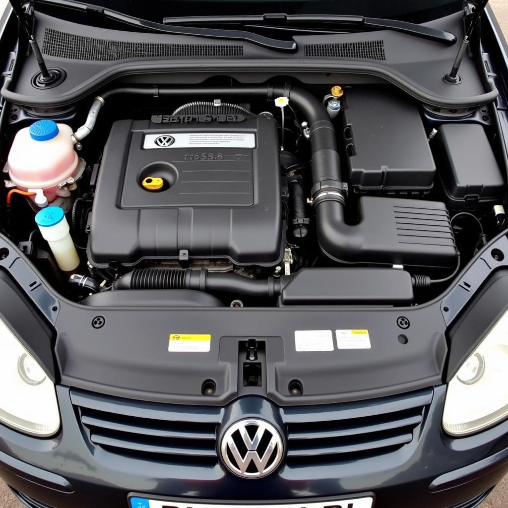 VW Golf 5 2.0 TDI Engine Compartment Inspection