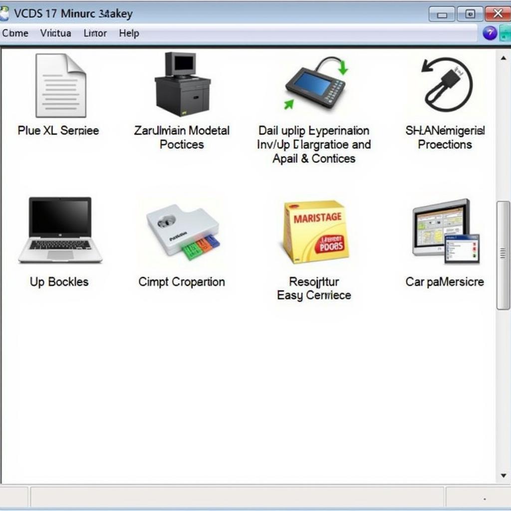 VCDS 17.0 Software Interface