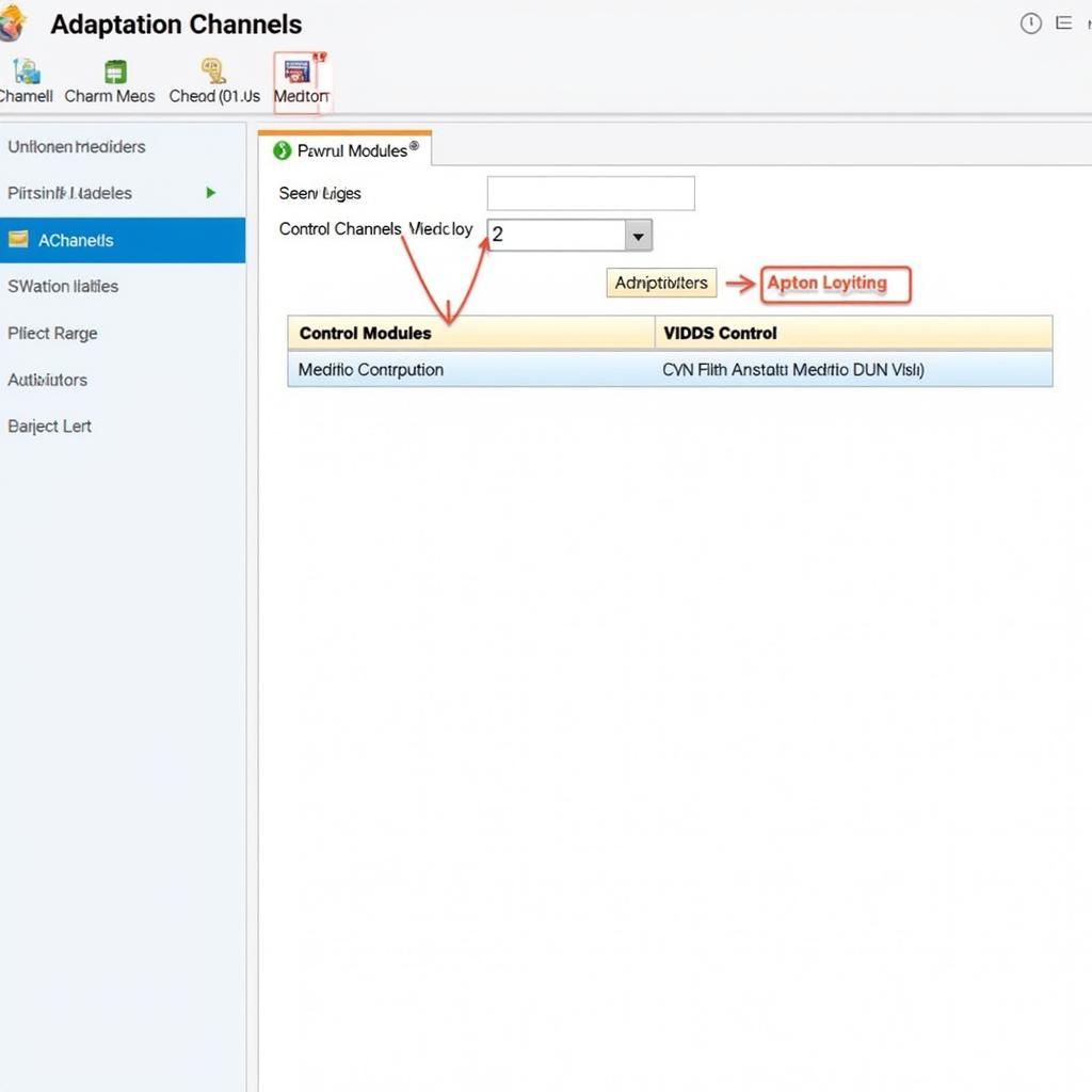 Understanding VCDS Adaptation Channels