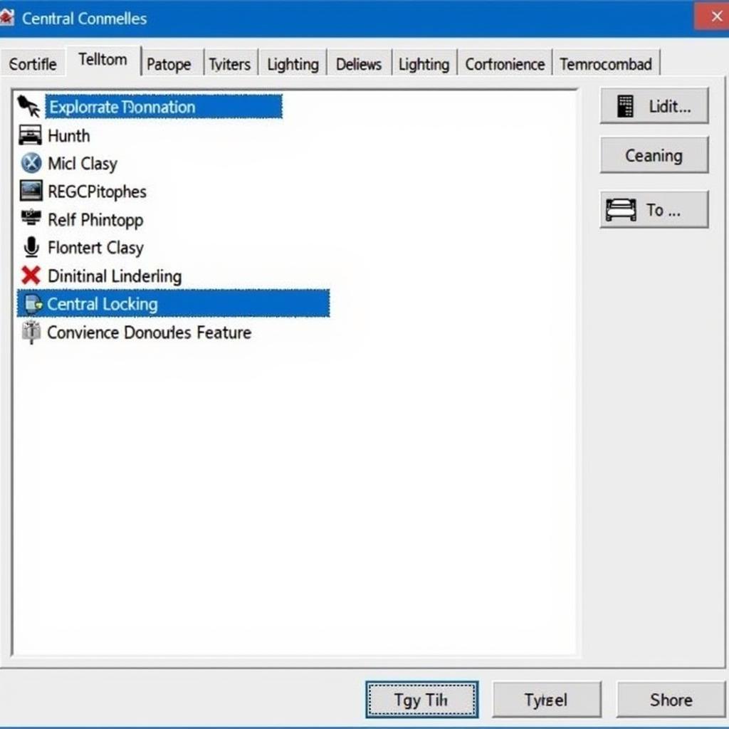 VCDS Roj Customization