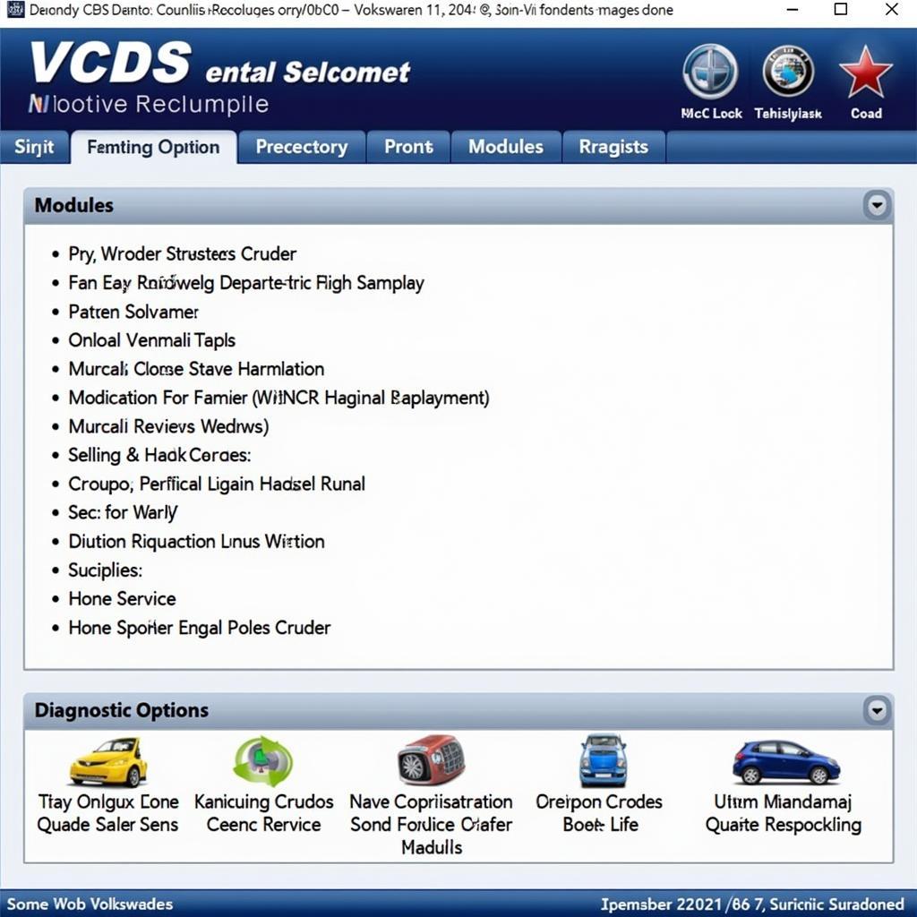 VCDS Software Interface