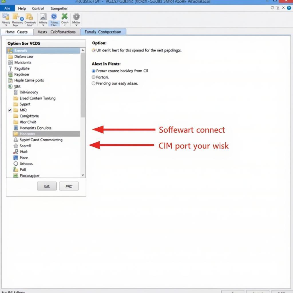 VCDS Software Options and COM Port Selection