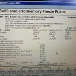 Error codes displayed by a BMW scan tool, indicating Valvetronic eccentric shaft sensor plausibility issues.