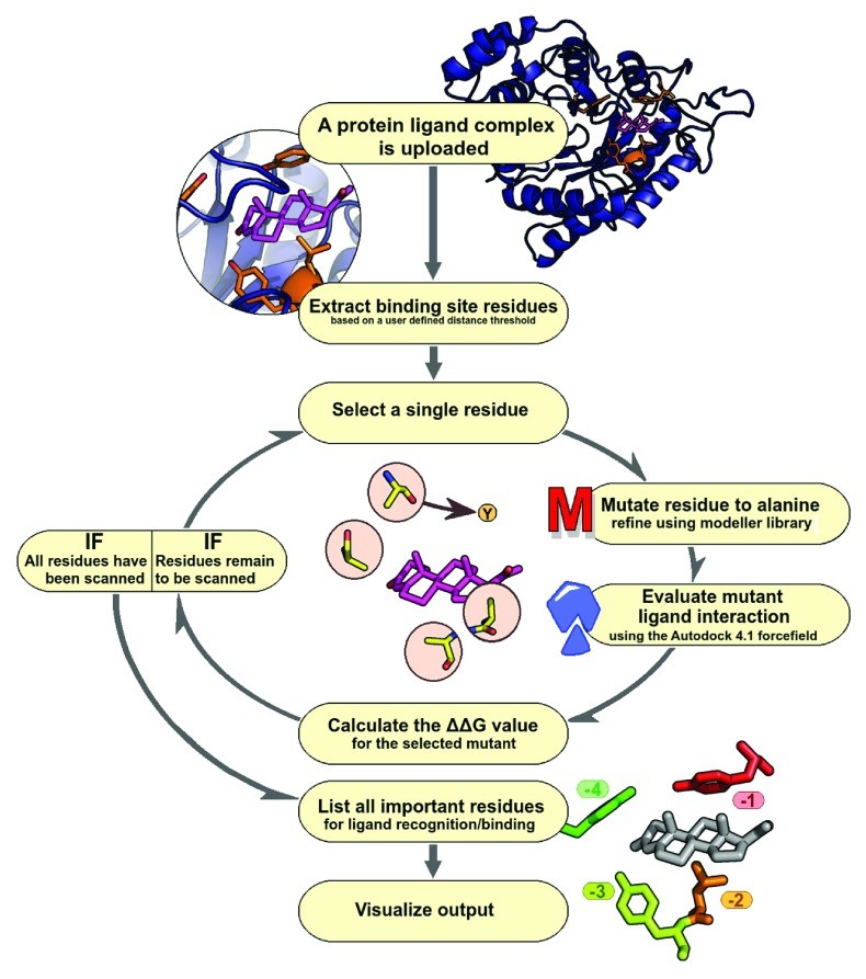 ABS-Scan Workflow