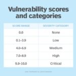 Chart of vulnerability scores and categories.