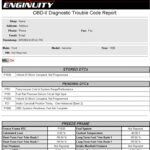 DTC-Report-Sample